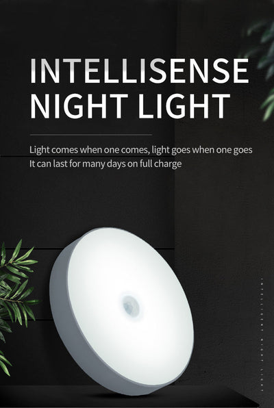 Smart LED Motion Sensor Light